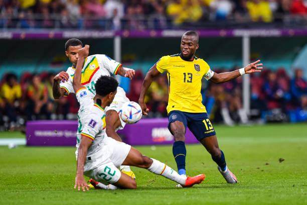 开云体育APP下载-高开低走，强弩之末的厄瓜多尔还是倒在小组赛